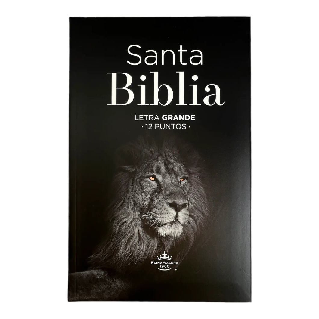 Santa Biblia - RV60 Tamaño manual León