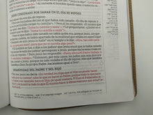 Cargar imagen en el visor de la galería, Biblia una columna con referencias NBLA
