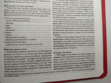 Cargar imagen en el visor de la galería, Biblia NTV Edición Agape Roja
