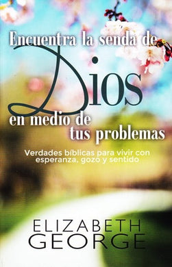 Encuentra la senda de Dios en medio de tus problemas | Elizabeth George | Editorial Portavoz