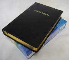 Cargar imagen en el visor de la galería, Biblia de Estudio Arco Iris RV 1960 (Piel fabricada)
